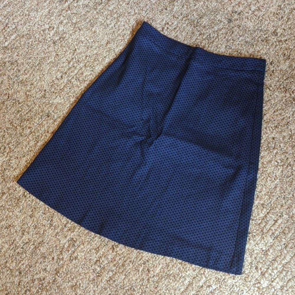 Beautiful Blue Skirt